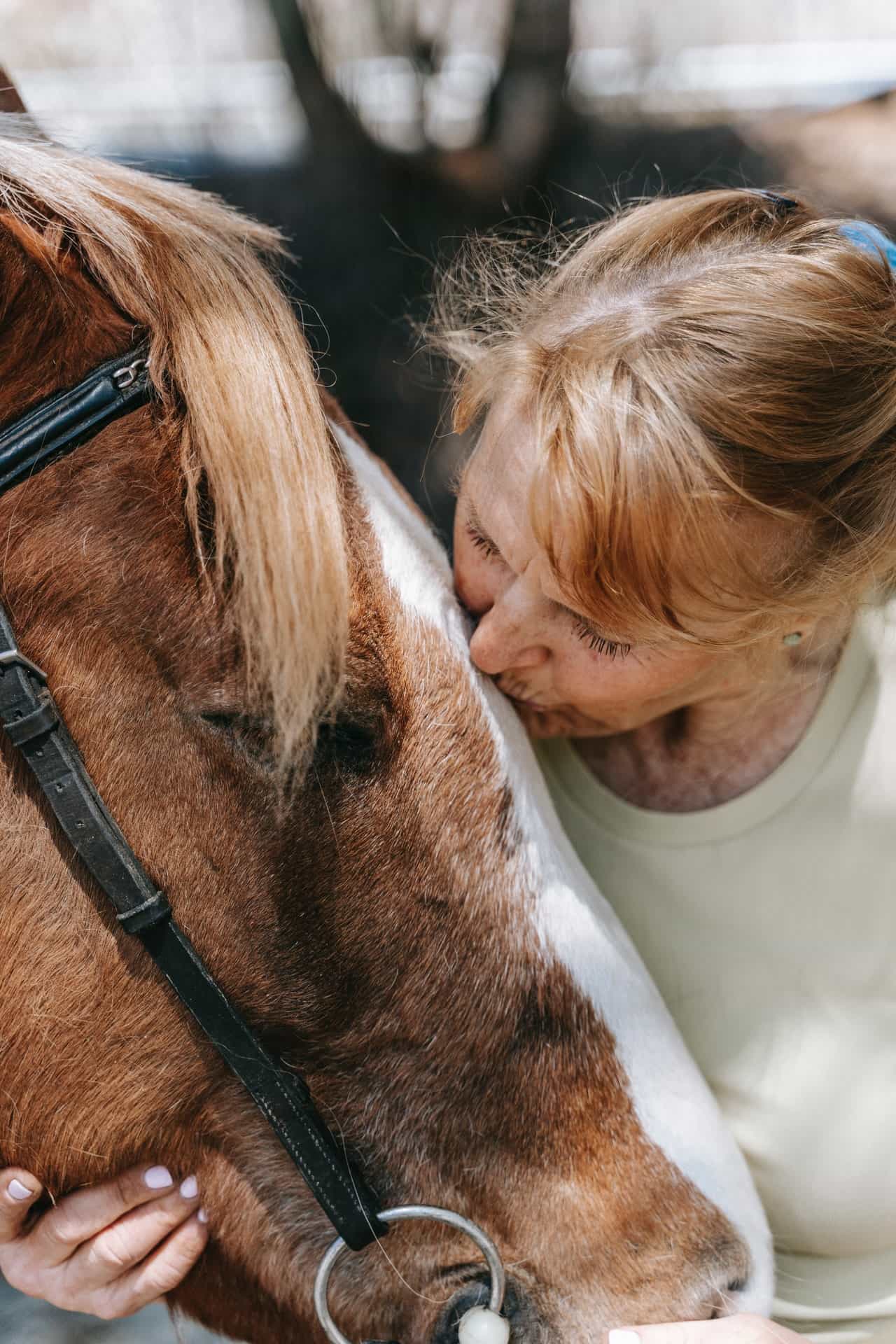 Horse shampoo and conditioner - how to choose - Dead Sea Shampoo